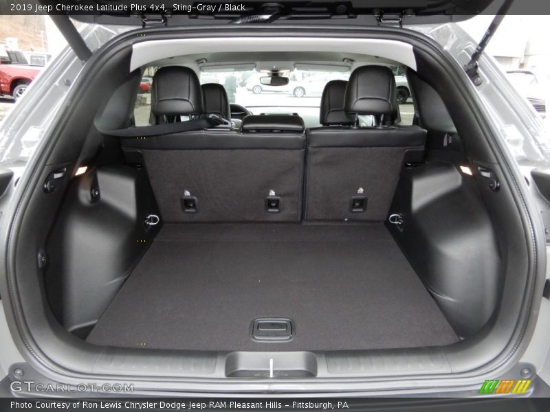Sting-Gray / Black 2019 Jeep Cherokee Latitude Plus 4x4