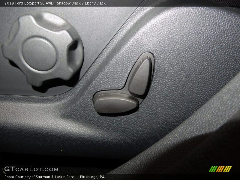 Controls of 2019 EcoSport SE 4WD