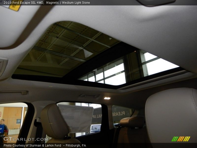 Magnetic / Medium Light Stone 2019 Ford Escape SEL 4WD