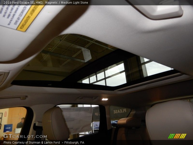 Magnetic / Medium Light Stone 2019 Ford Escape SEL 4WD