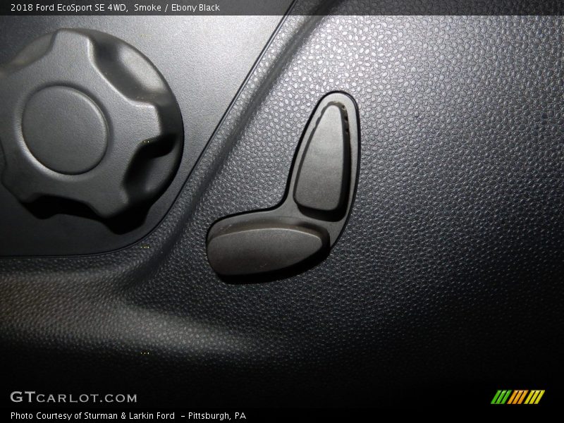 Smoke / Ebony Black 2018 Ford EcoSport SE 4WD