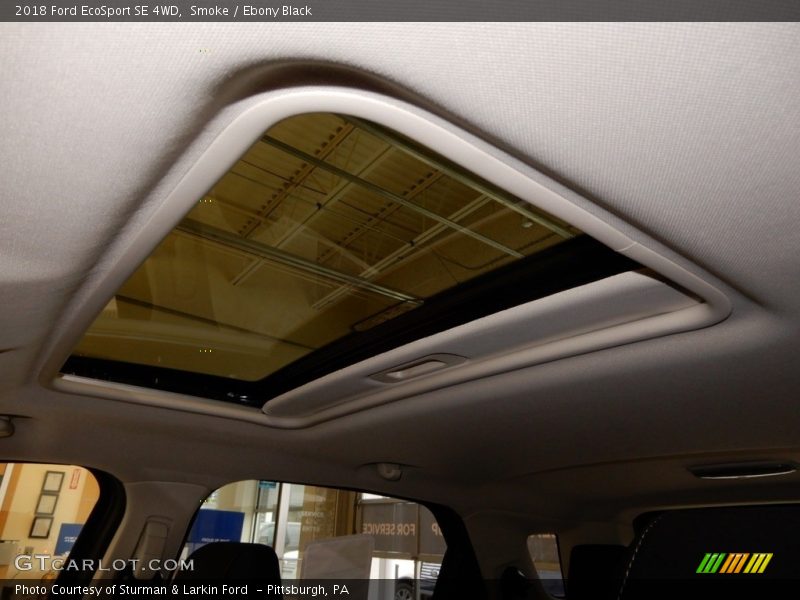 Smoke / Ebony Black 2018 Ford EcoSport SE 4WD
