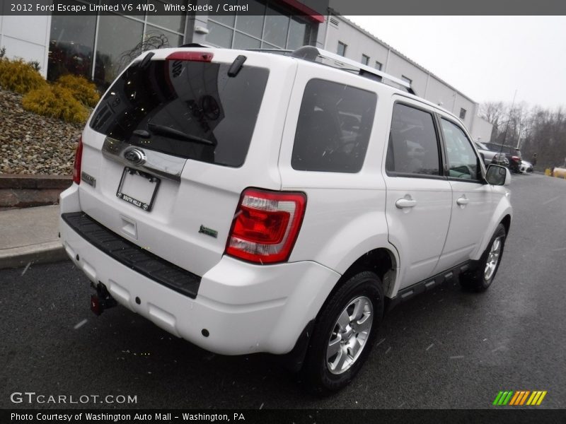White Suede / Camel 2012 Ford Escape Limited V6 4WD