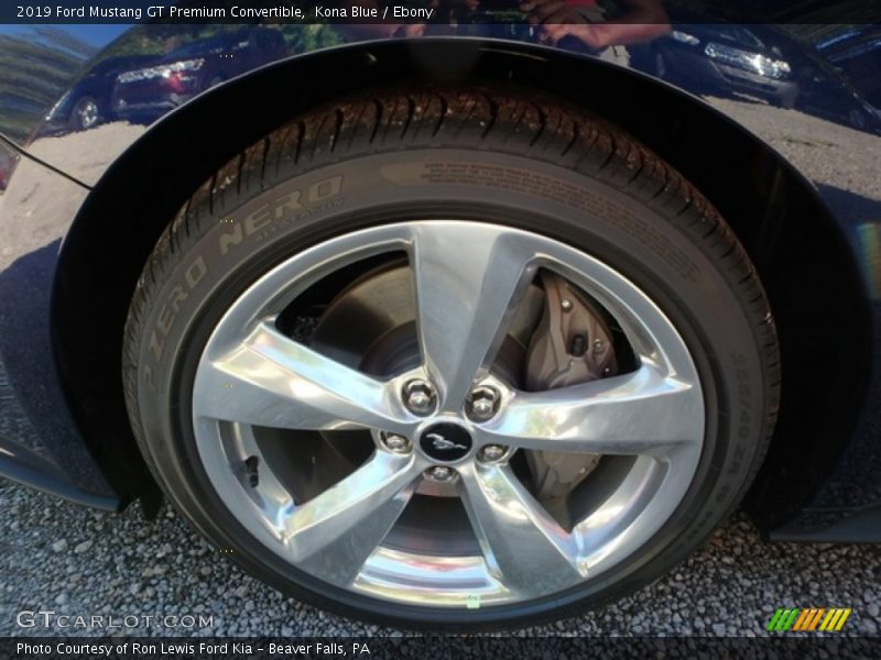 Kona Blue / Ebony 2019 Ford Mustang GT Premium Convertible