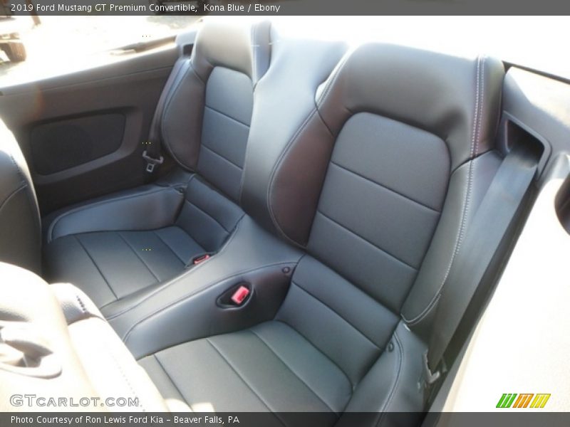 Kona Blue / Ebony 2019 Ford Mustang GT Premium Convertible