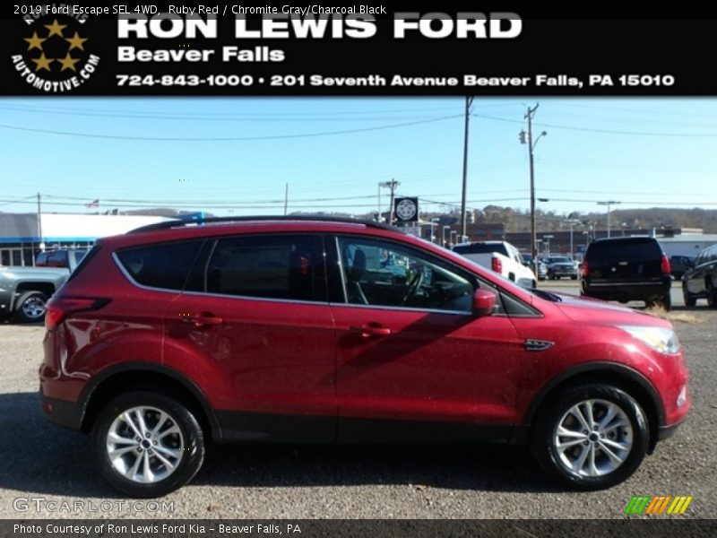 Ruby Red / Chromite Gray/Charcoal Black 2019 Ford Escape SEL 4WD
