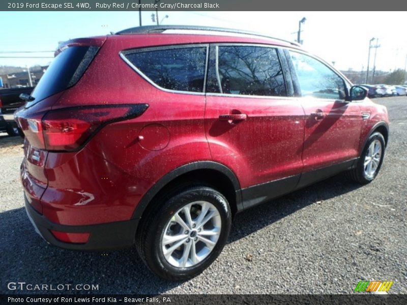 Ruby Red / Chromite Gray/Charcoal Black 2019 Ford Escape SEL 4WD