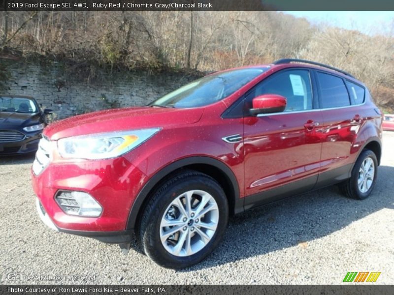 Ruby Red / Chromite Gray/Charcoal Black 2019 Ford Escape SEL 4WD