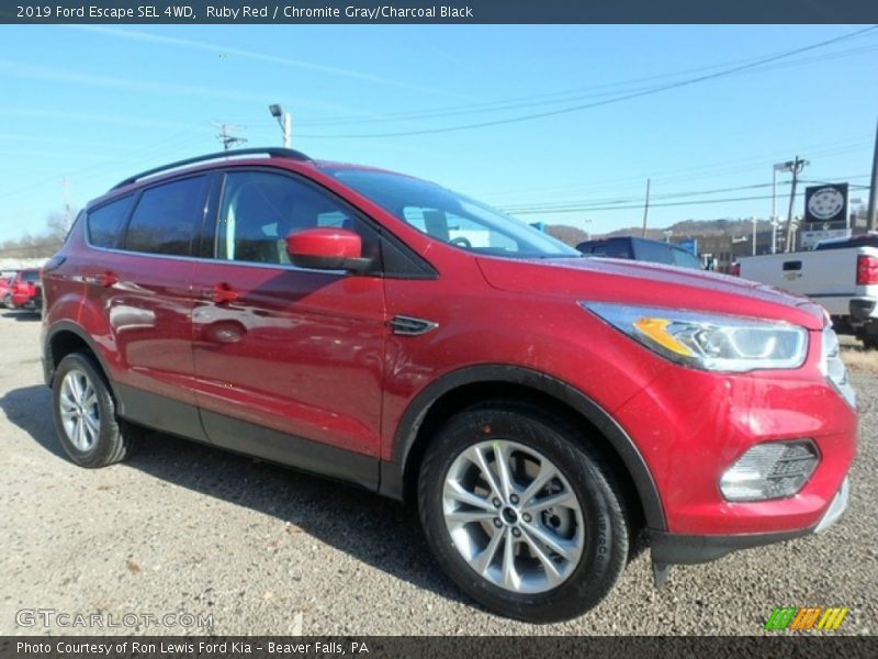 Ruby Red / Chromite Gray/Charcoal Black 2019 Ford Escape SEL 4WD