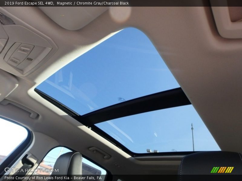 Magnetic / Chromite Gray/Charcoal Black 2019 Ford Escape SEL 4WD