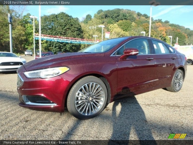 Burgundy Velvet / Ebony 2018 Ford Fusion SE