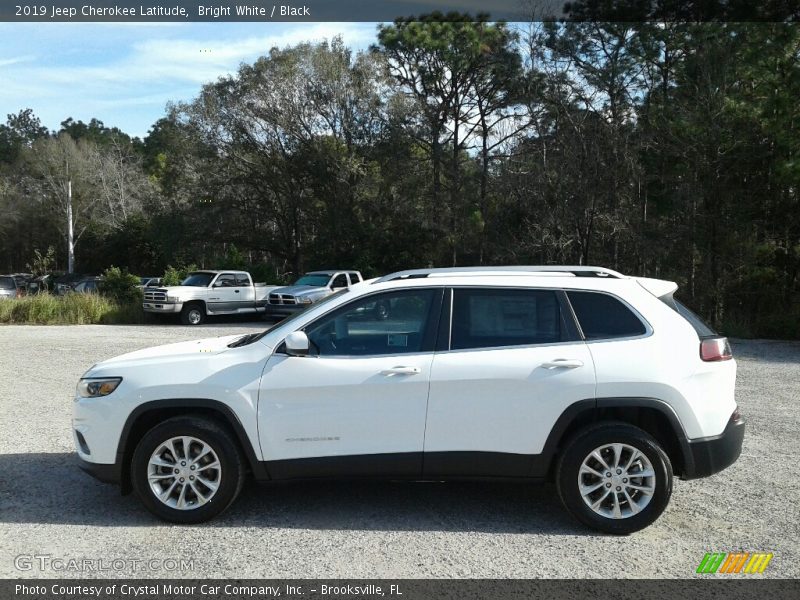 Bright White / Black 2019 Jeep Cherokee Latitude