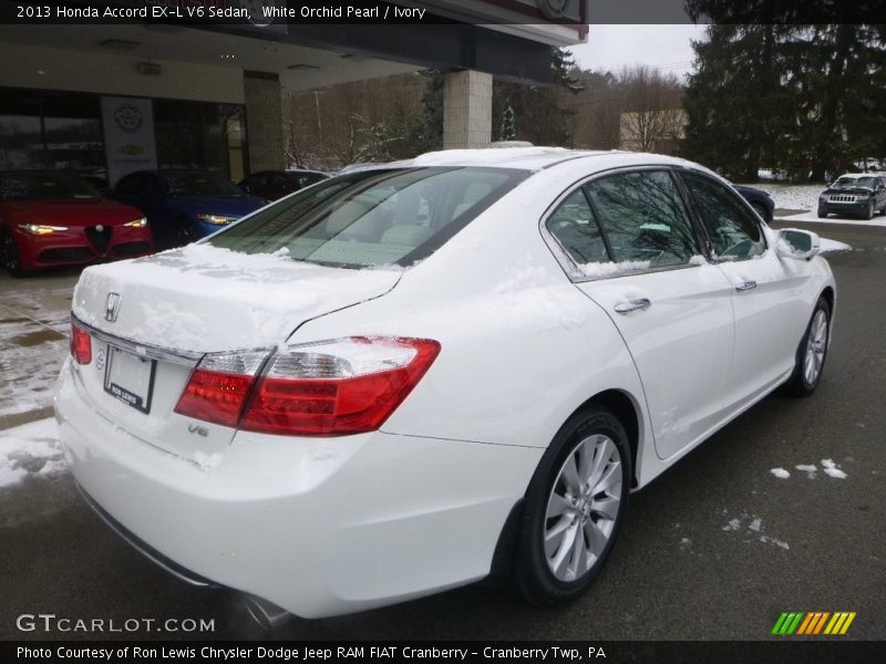 White Orchid Pearl / Ivory 2013 Honda Accord EX-L V6 Sedan