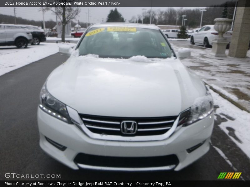 White Orchid Pearl / Ivory 2013 Honda Accord EX-L V6 Sedan