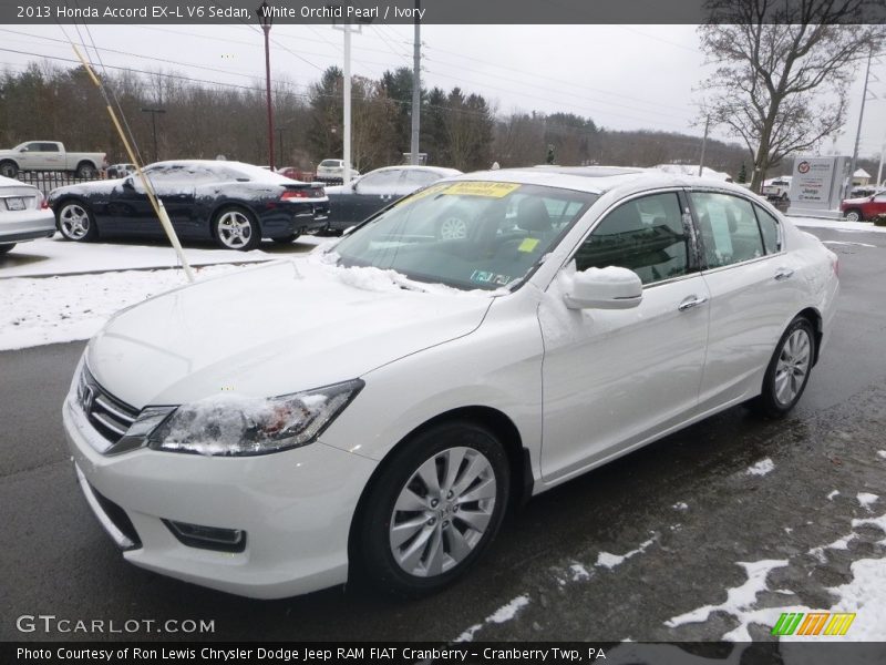 White Orchid Pearl / Ivory 2013 Honda Accord EX-L V6 Sedan