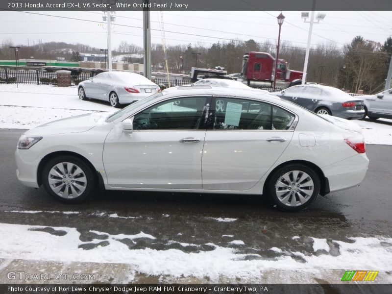 White Orchid Pearl / Ivory 2013 Honda Accord EX-L V6 Sedan