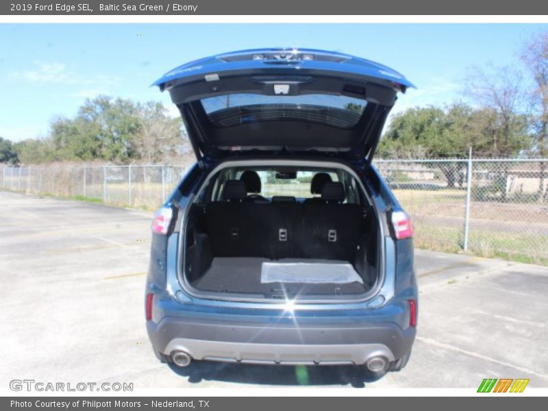 Baltic Sea Green / Ebony 2019 Ford Edge SEL