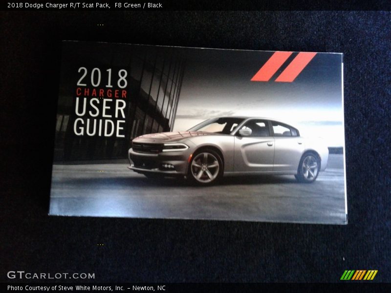 F8 Green / Black 2018 Dodge Charger R/T Scat Pack
