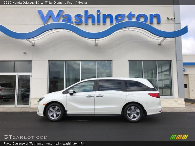 White Diamond Pearl / Mocha 2019 Honda Odyssey EX-L