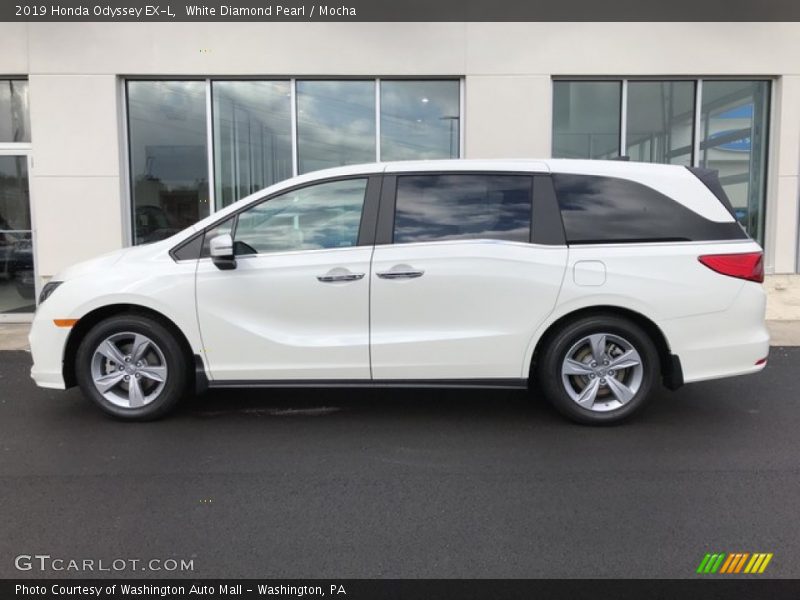 White Diamond Pearl / Mocha 2019 Honda Odyssey EX-L