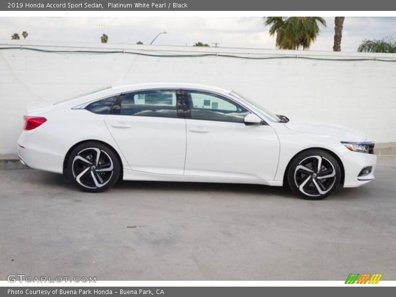  2019 Accord Sport Sedan Platinum White Pearl