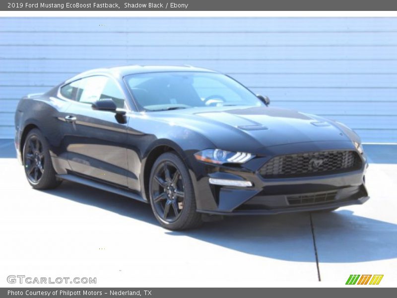 Shadow Black / Ebony 2019 Ford Mustang EcoBoost Fastback