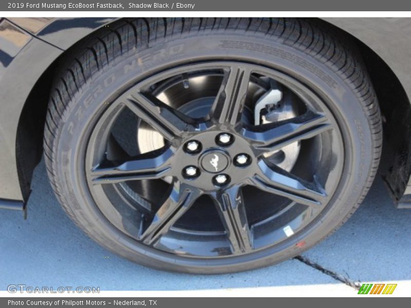 Shadow Black / Ebony 2019 Ford Mustang EcoBoost Fastback