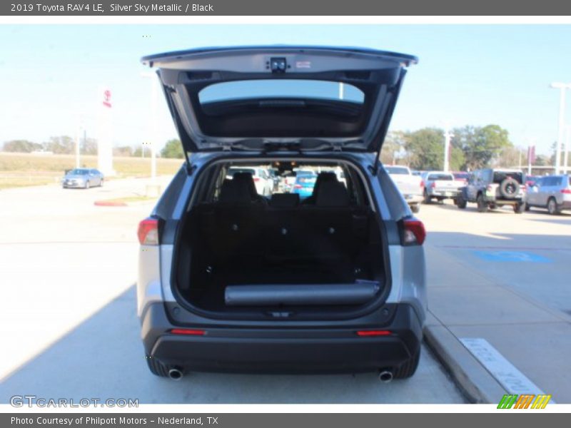 Silver Sky Metallic / Black 2019 Toyota RAV4 LE