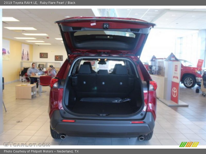 Ruby Flare Pearl / Black 2019 Toyota RAV4 LE