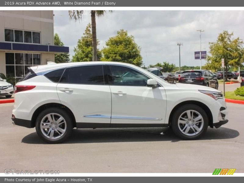 White Diamond Pearl / Ebony 2019 Acura RDX Advance AWD