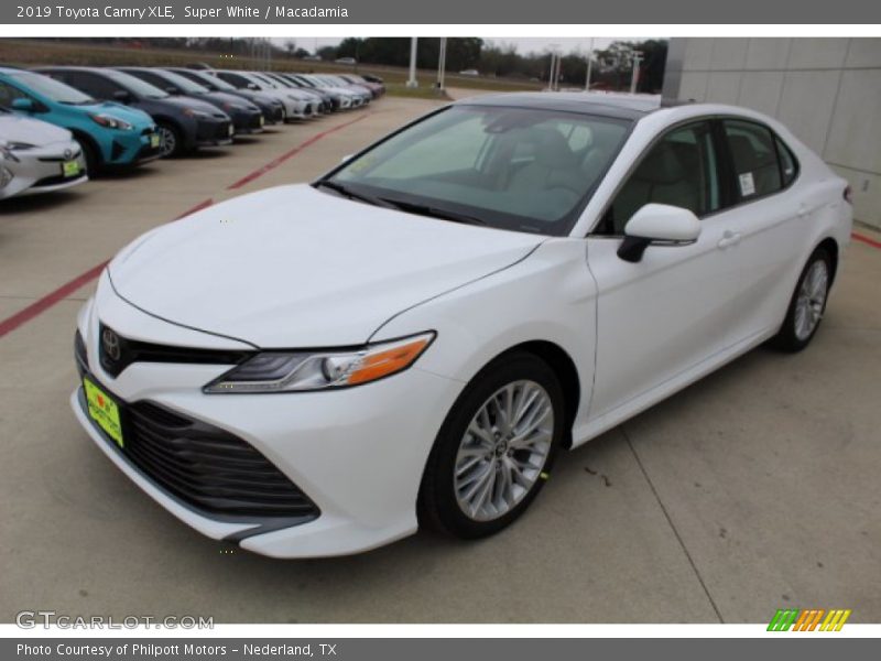 Super White / Macadamia 2019 Toyota Camry XLE