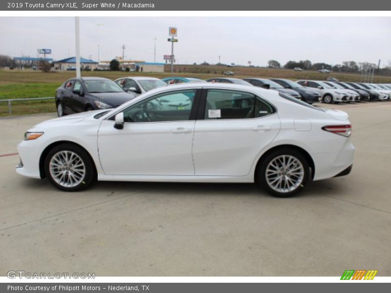 Super White / Macadamia 2019 Toyota Camry XLE