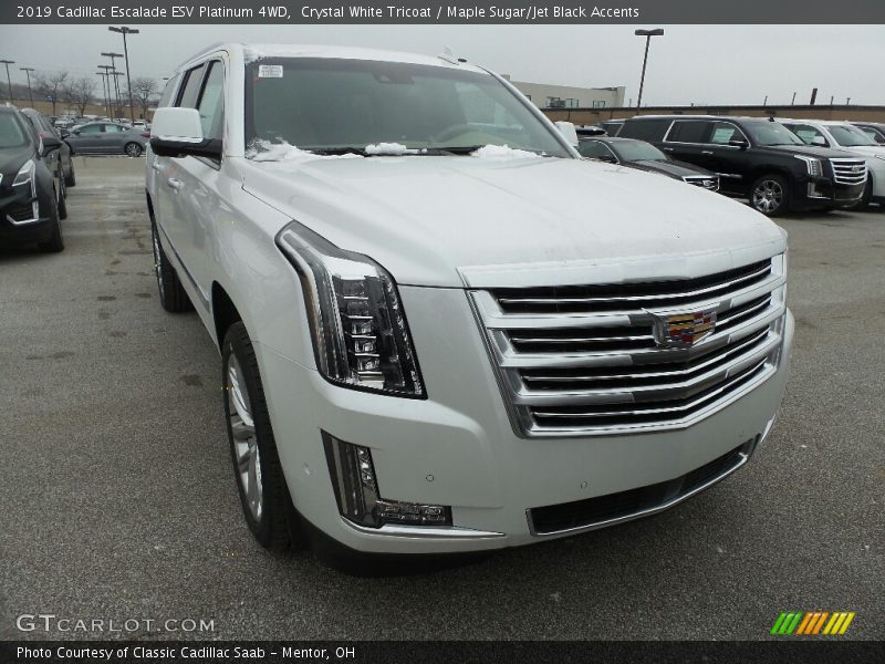 Front 3/4 View of 2019 Escalade ESV Platinum 4WD