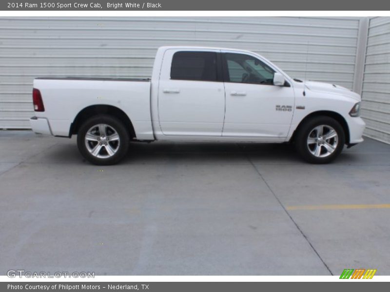 Bright White / Black 2014 Ram 1500 Sport Crew Cab
