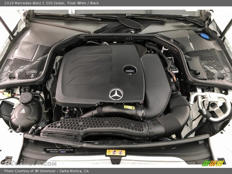 Polar White / Black 2019 Mercedes-Benz C 300 Sedan