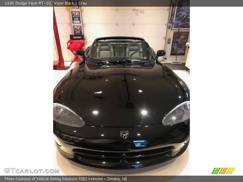 Viper Black / Gray 1995 Dodge Viper RT-10