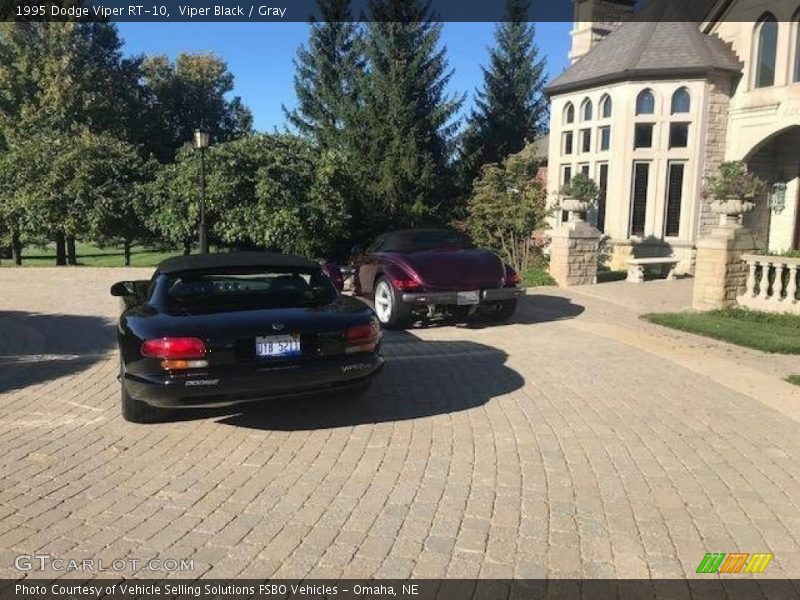 Viper Black / Gray 1995 Dodge Viper RT-10