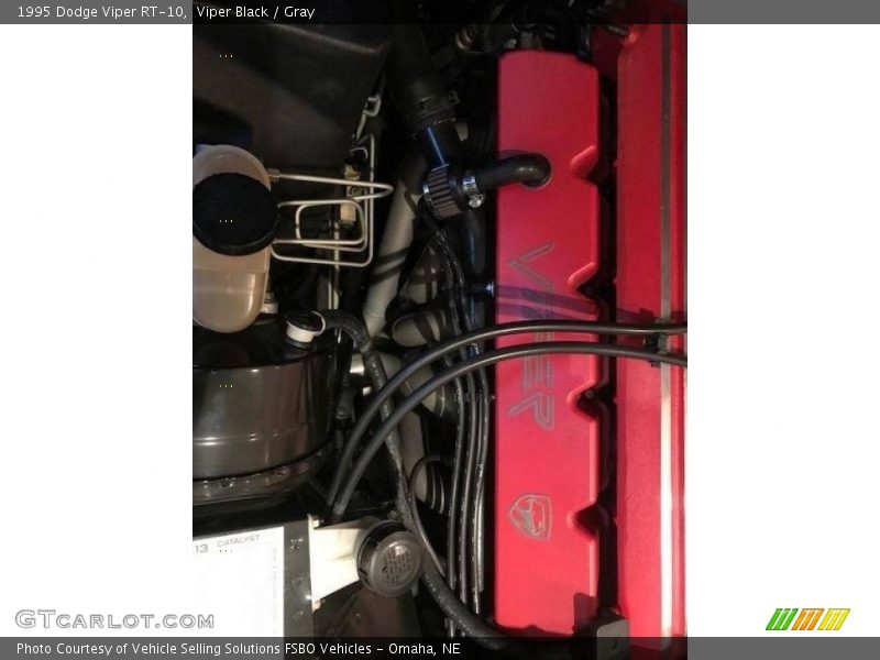 Viper Black / Gray 1995 Dodge Viper RT-10