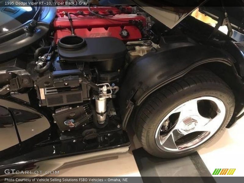 Viper Black / Gray 1995 Dodge Viper RT-10