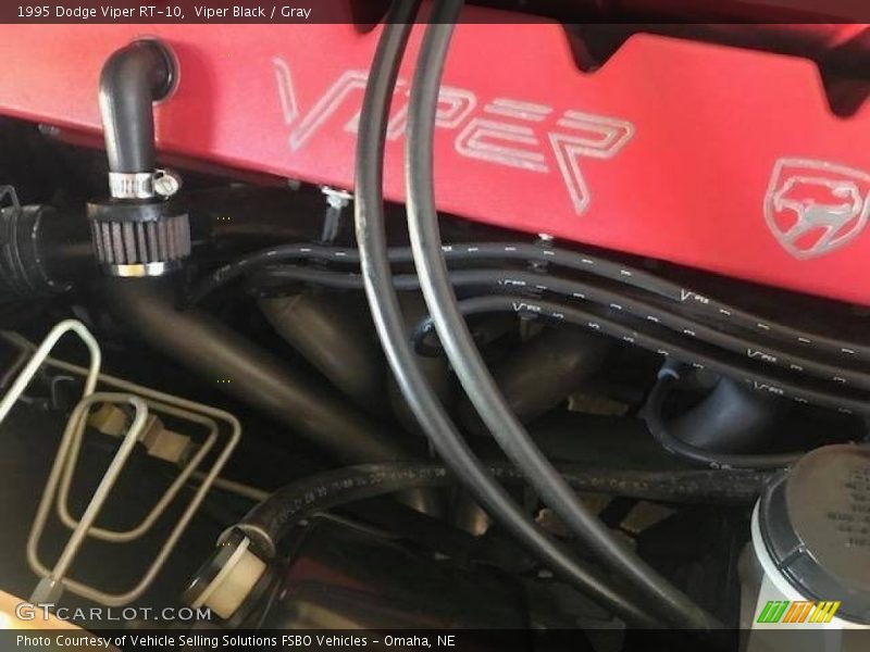 Viper Black / Gray 1995 Dodge Viper RT-10
