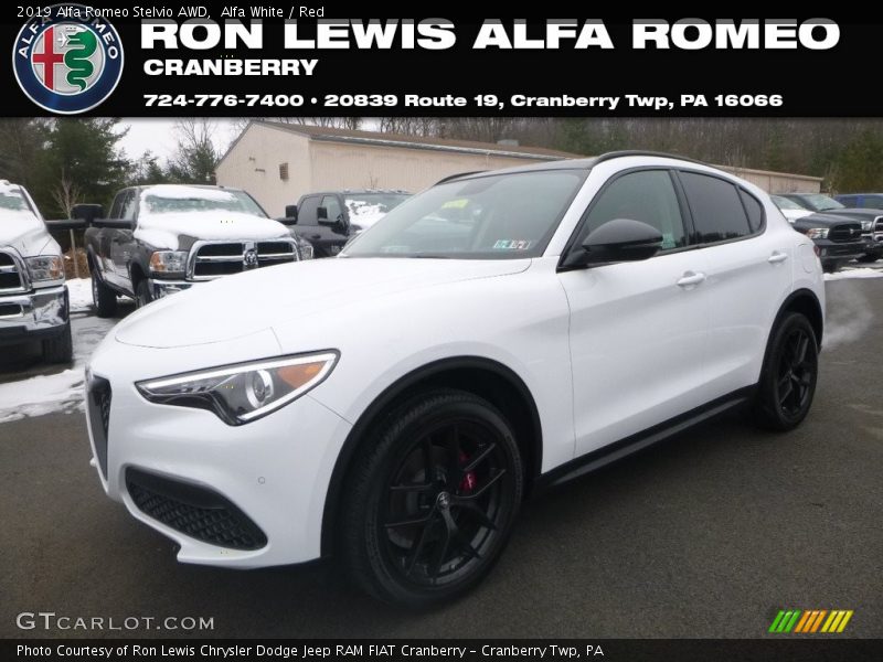 Alfa White / Red 2019 Alfa Romeo Stelvio AWD