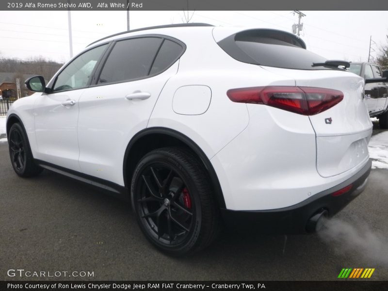 Alfa White / Red 2019 Alfa Romeo Stelvio AWD