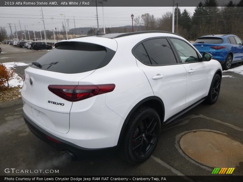 Alfa White / Red 2019 Alfa Romeo Stelvio AWD