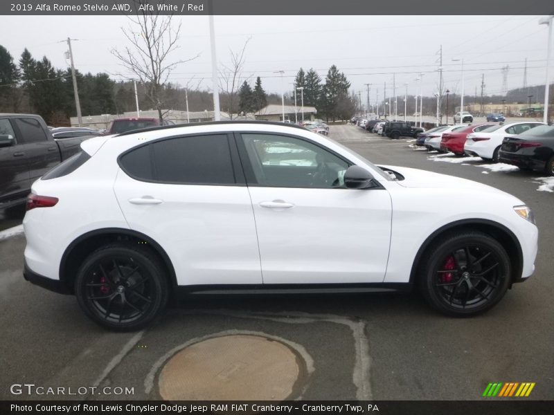 Alfa White / Red 2019 Alfa Romeo Stelvio AWD