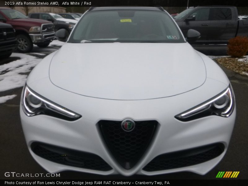 Alfa White / Red 2019 Alfa Romeo Stelvio AWD