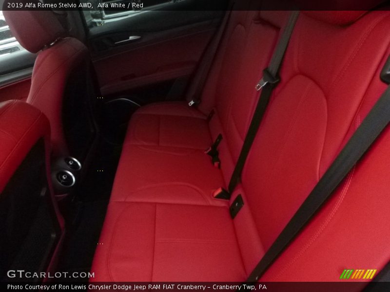 Alfa White / Red 2019 Alfa Romeo Stelvio AWD