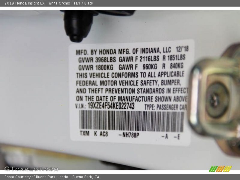 White Orchid Pearl / Black 2019 Honda Insight EX