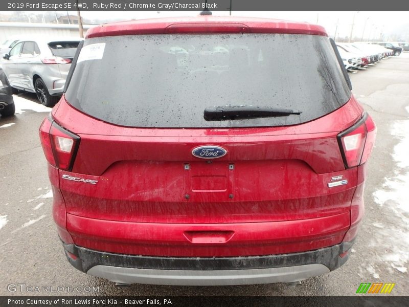 Ruby Red / Chromite Gray/Charcoal Black 2019 Ford Escape SE 4WD