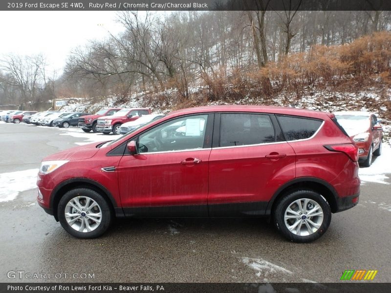 Ruby Red / Chromite Gray/Charcoal Black 2019 Ford Escape SE 4WD