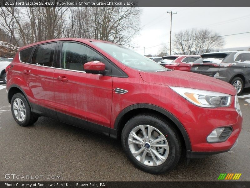 Ruby Red / Chromite Gray/Charcoal Black 2019 Ford Escape SE 4WD